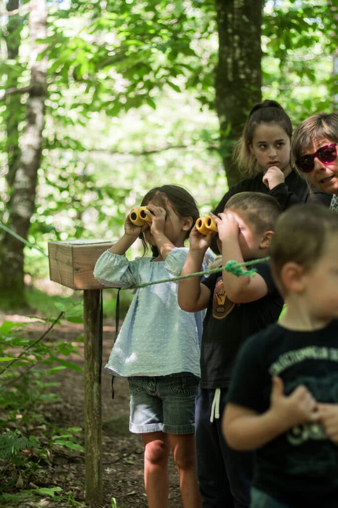 balade nature comité d'entreprise