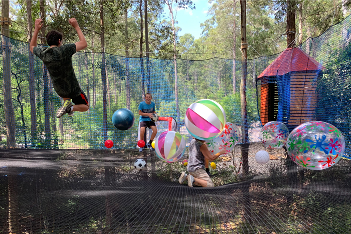 Tree tops – Australie