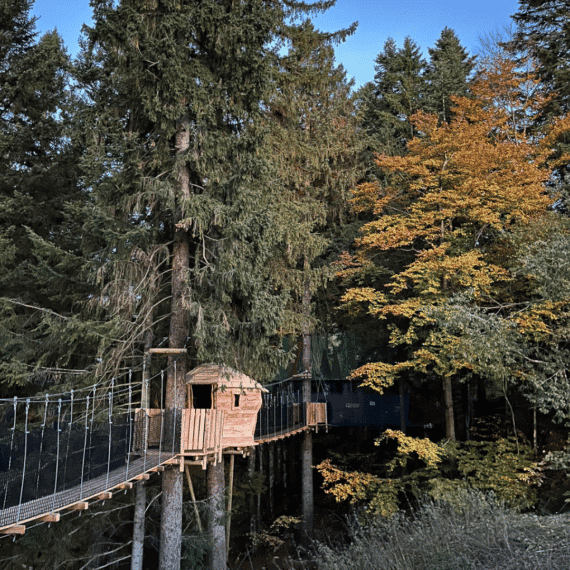 Un chantier gigantesque pour un TrampÔforest® dans le Jura à Métabief Aventures