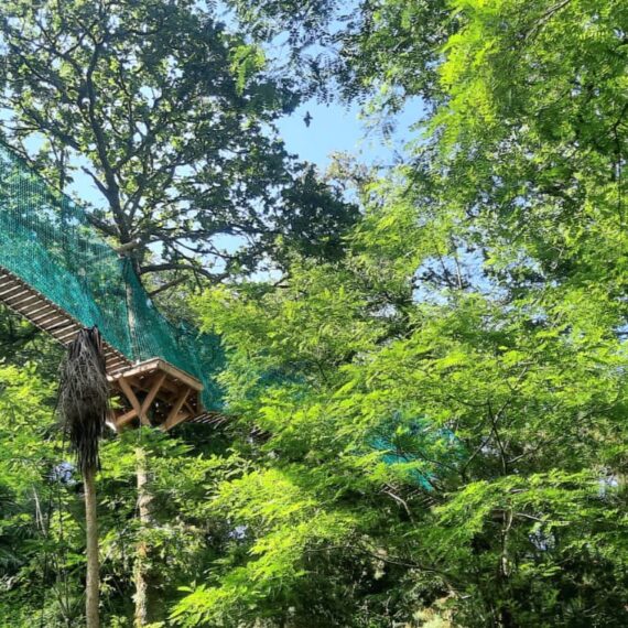 SUSPENDED WALKWAY AT LES TERRES DE NATAÉ PARK