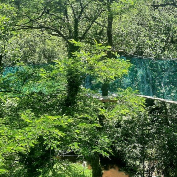 SUSPENDED WALKWAY AT LES TERRES DE NATAÉ PARK