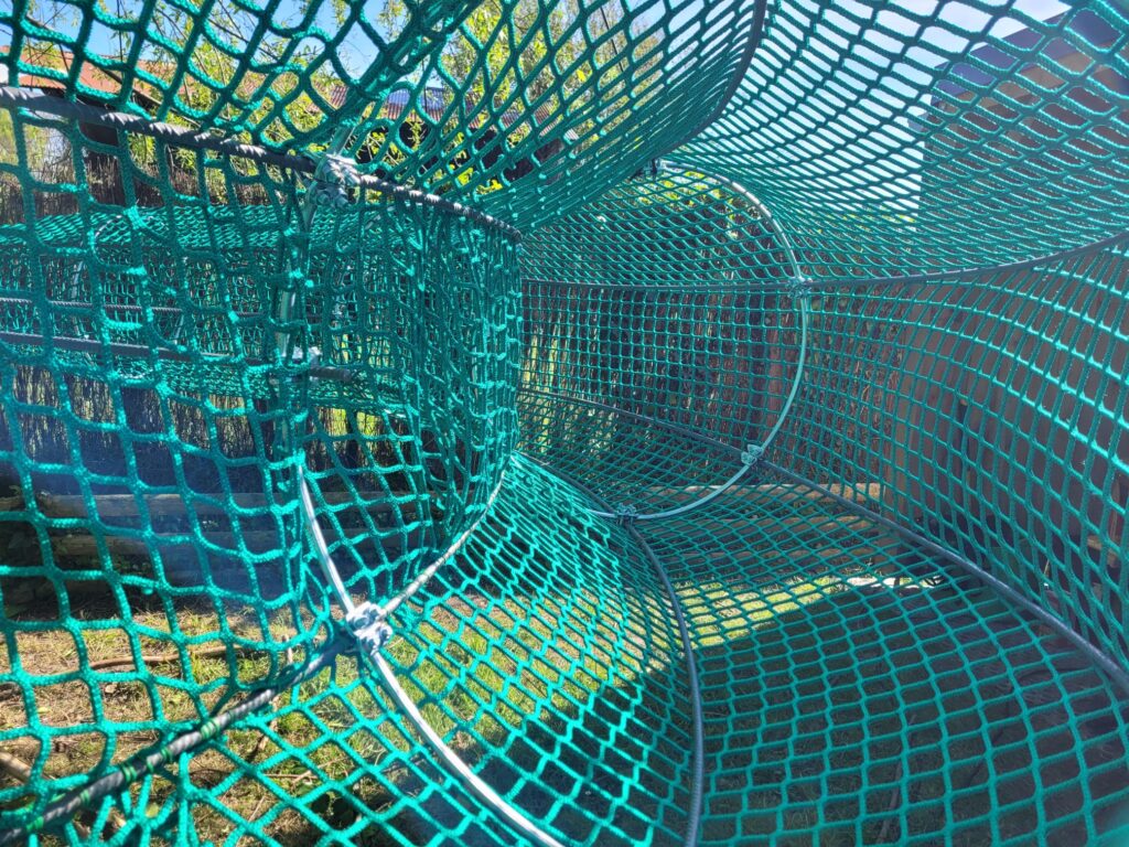 Cœur de l'anaconda - Alligator Bay