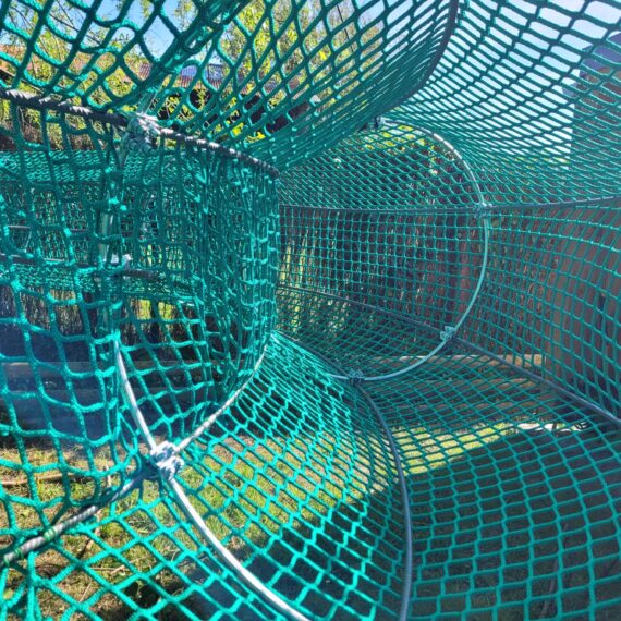 Cœur de l'anaconda - Alligator Bay