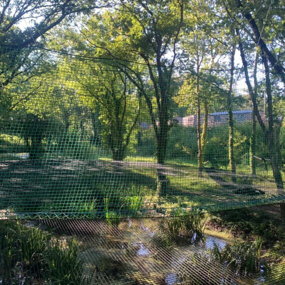 162M² of stretched nets above a lake