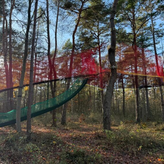 Un nouveau TrampÔforest® prend vie à Canopée (02) !