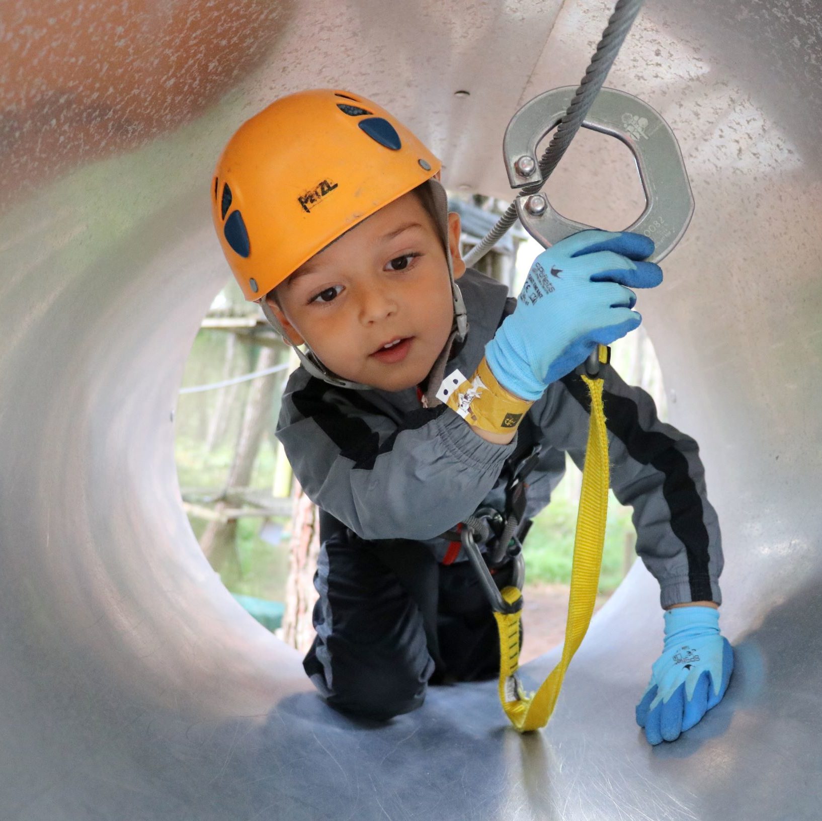 Venez Feter Votre Anniversaire Au Parc Foret Adrenaline De Rennes Venez Feter Votre Anniversaire Au Parc Foret Adrenaline De Rennes