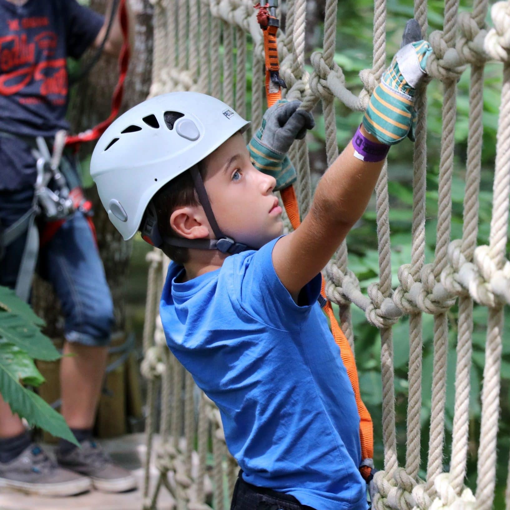 parcours iguane