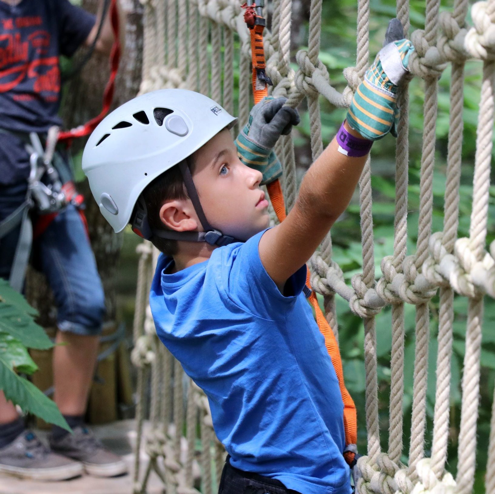 parcours iguane