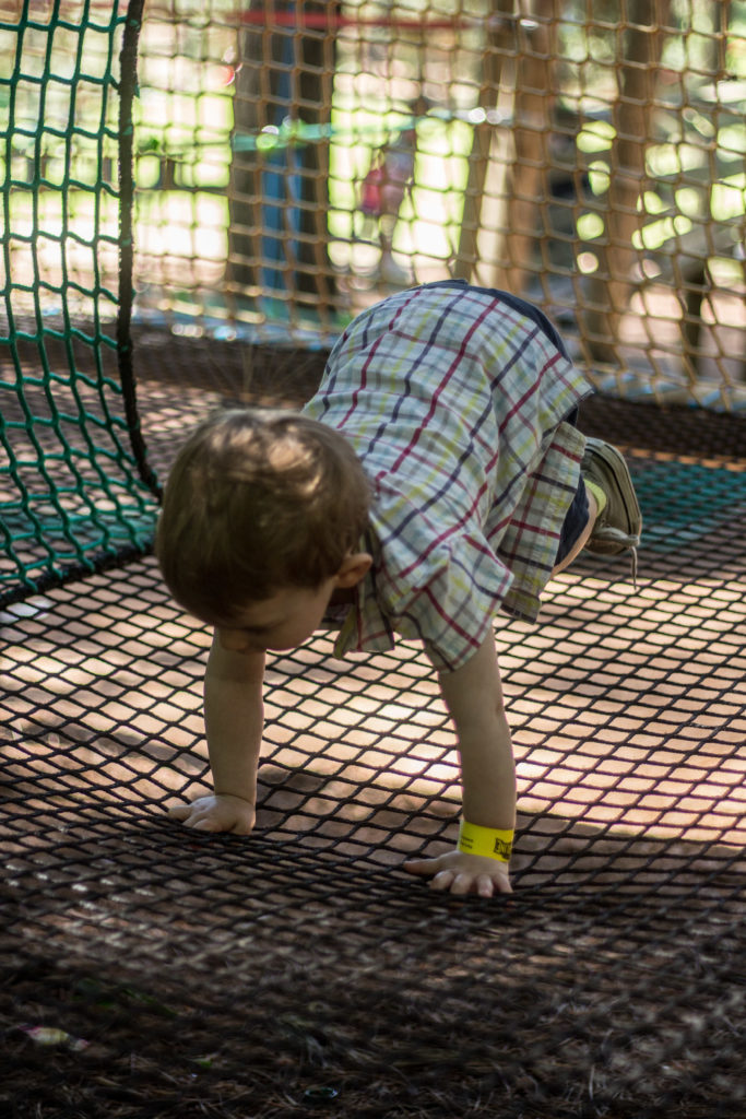 Tree climbing from 2 years old - squirrel cage