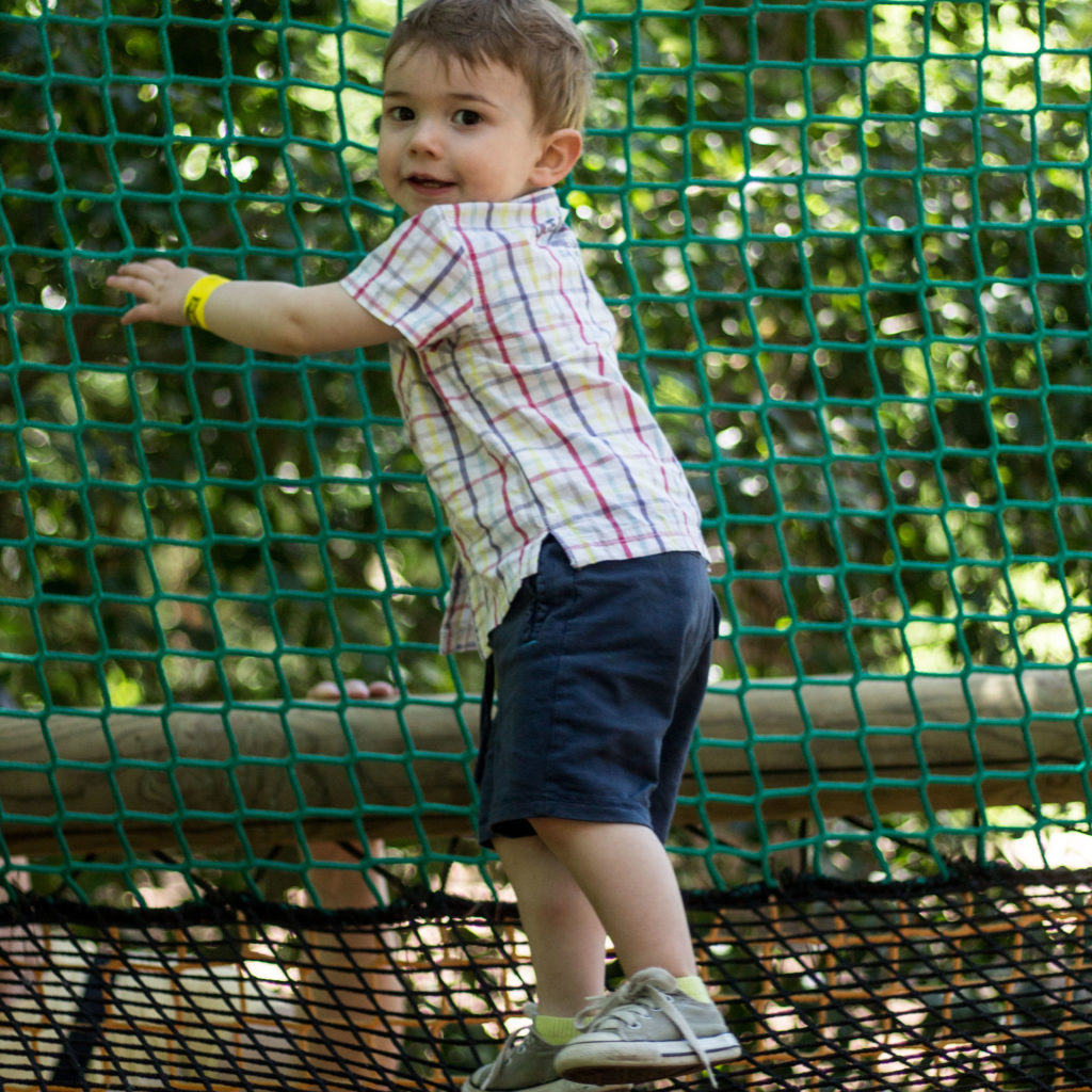 Tree climbing from 2 years old - squirrel cage