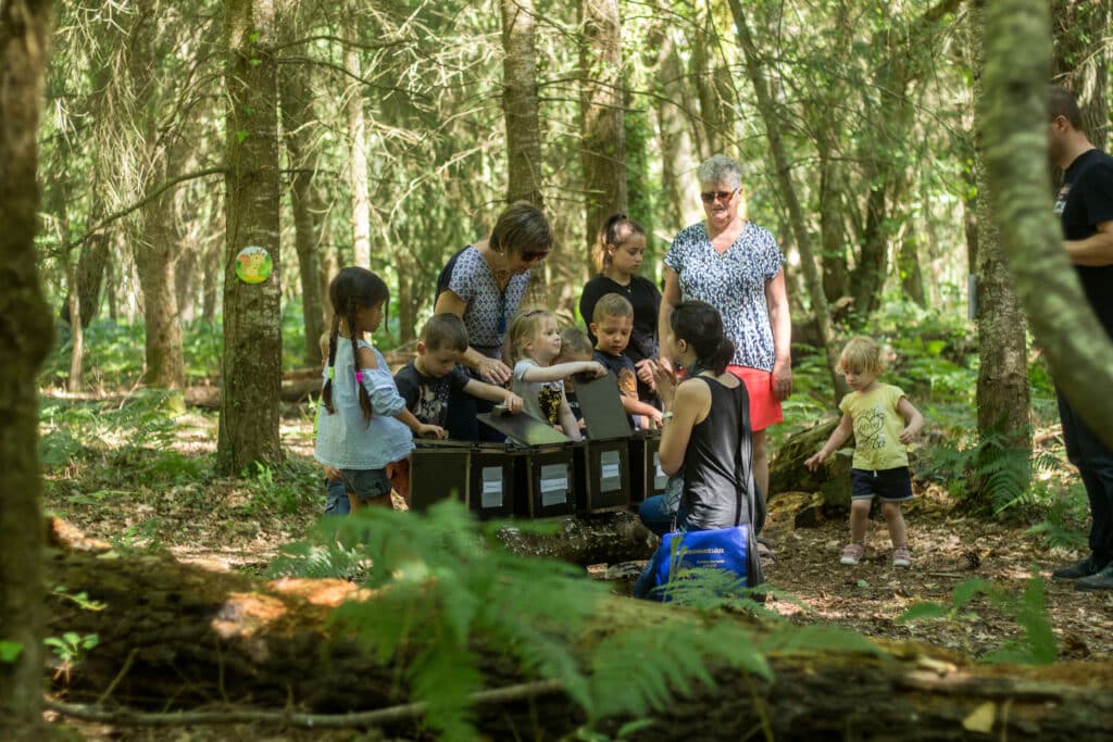 Sortie scolaire - centre de loisirs activité animée