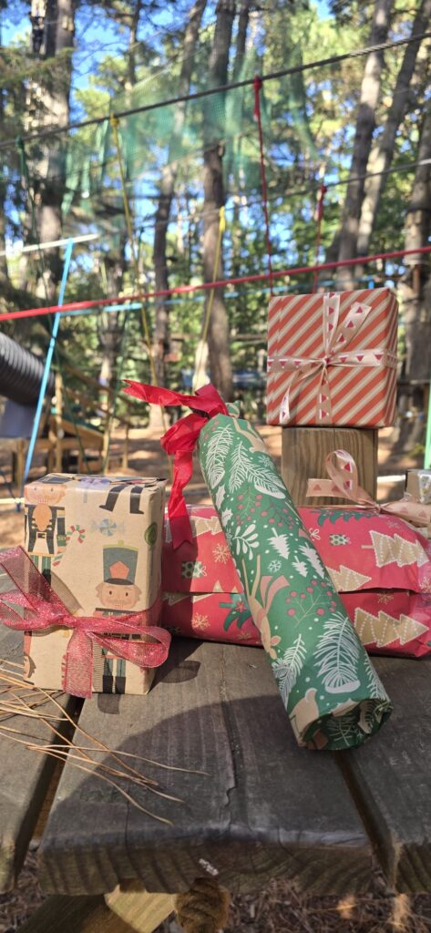 Billet cadeau de Noel en ligne