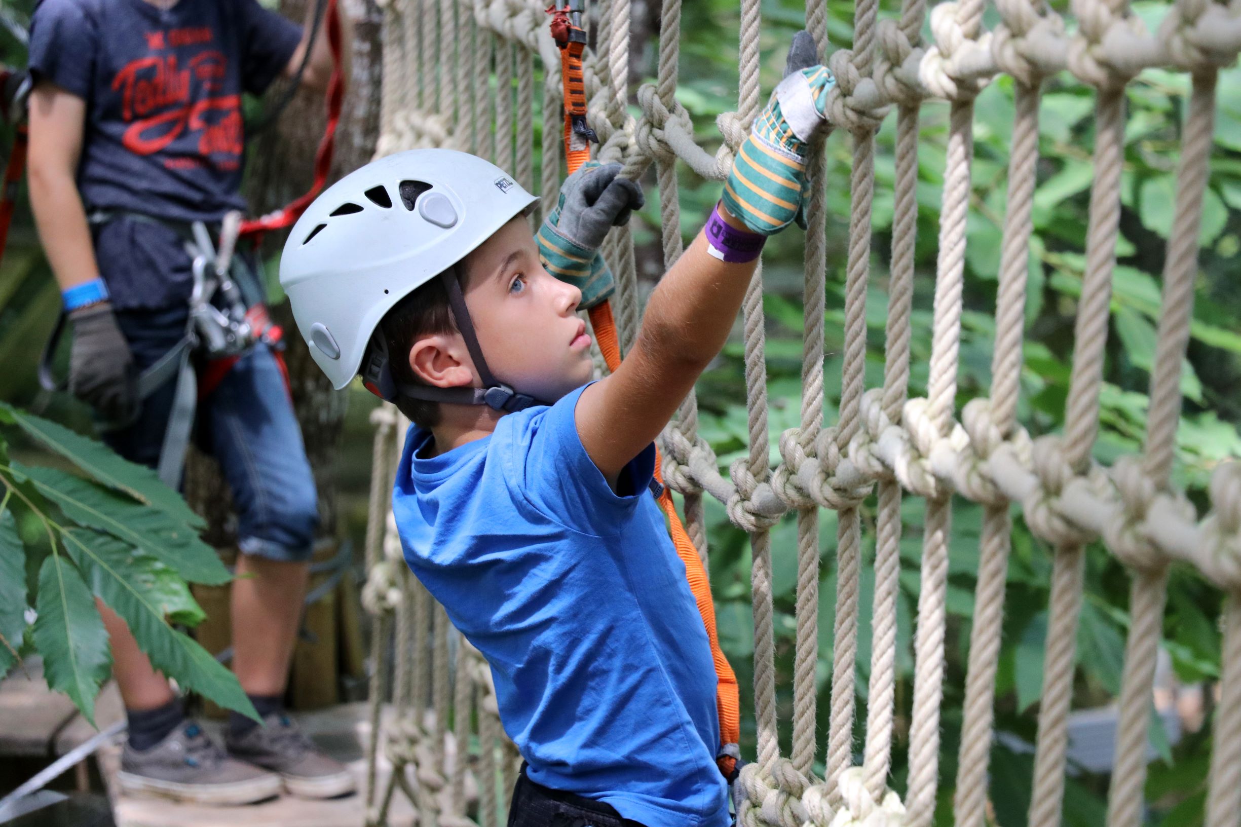 parcours iguane